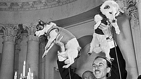 Космические дворняги