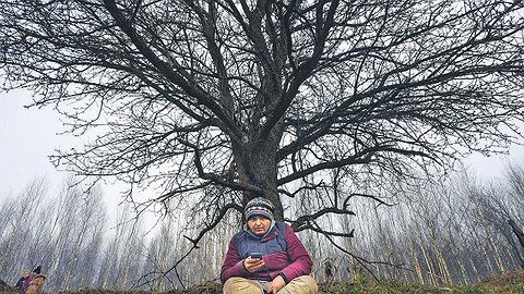 Приезжай меньше, да лучше
